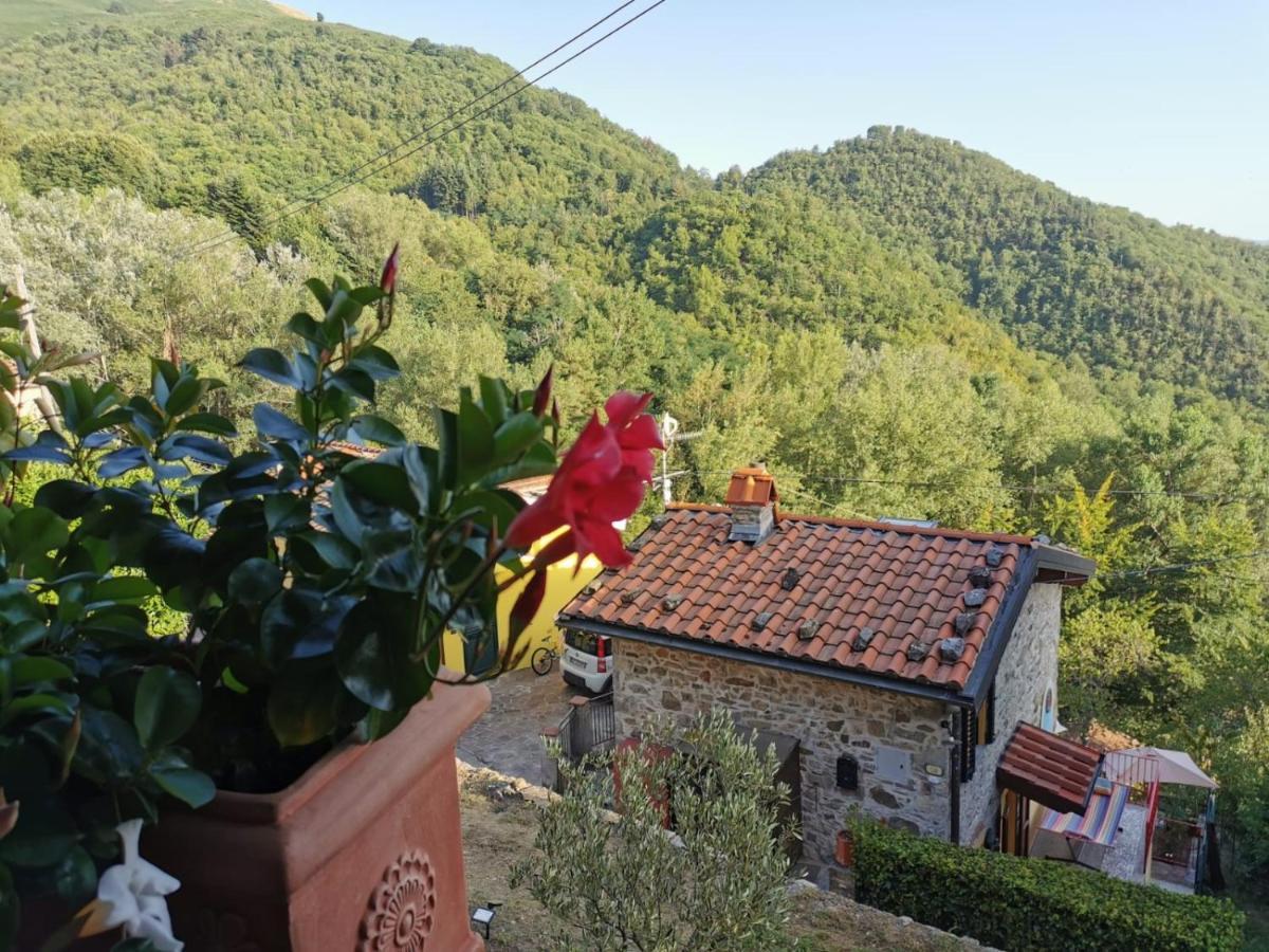 Deliziosa Casetta Sull'Appennino Toscano Montefegatesi Exterior photo